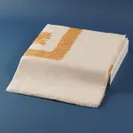 Distinctive Pattern Pashmina Shawl