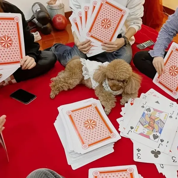 Jumbo Playing Cards Set for All Ages - 6 Times Larger for Fun and Entertainment