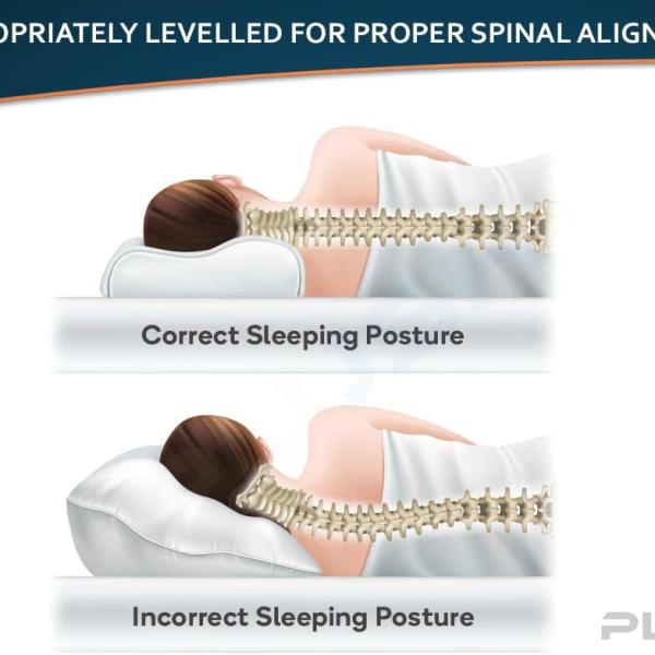 وسادة بلس ميموري فوم ناعمة، لدعم الرقبة وعنق الرحم للأطفال والسفر - حجم متوسط