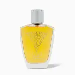 Rasasi Aneen EDP 100ml for Men & Women