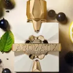 فرنش أفنيو بلاتين بلانك أروماتيكس او دو بارفان 100 مل