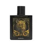Rayhaan Tiger Eau De Parfum 100ML for Men - Spicy Woody Amber Scent