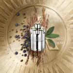 عطر ازارو وونتد للرجال - او دو تواليت 100 مل